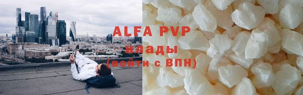 гидра Белокуриха