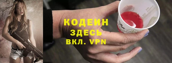 дживик Бородино