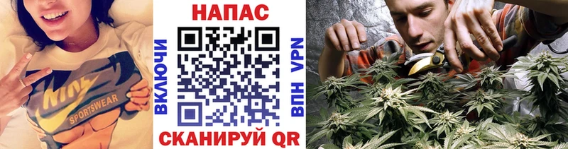 купить закладку  Верхний Тагил  МАРИХУАНА White Widow 